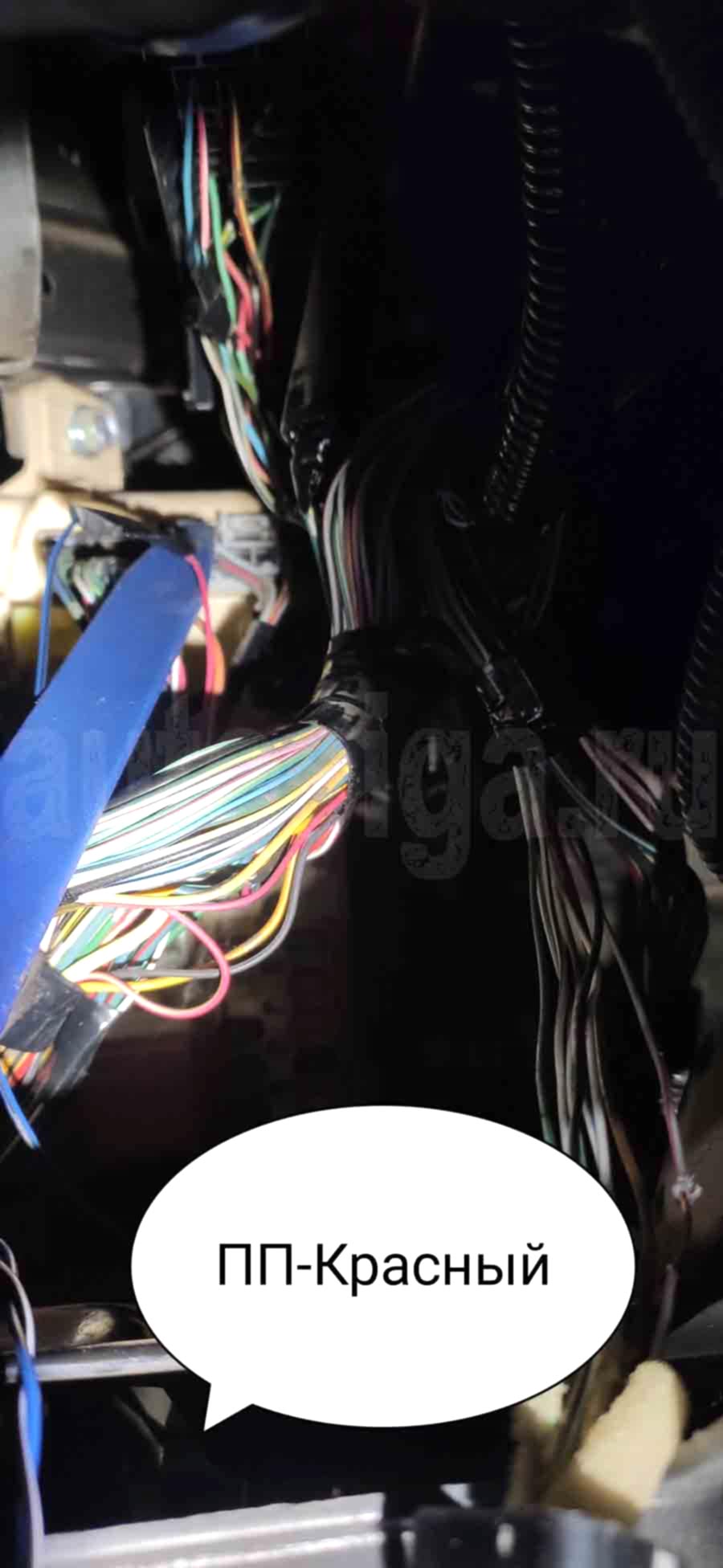 Toyota Avensis 2006: концевик двери пассажира